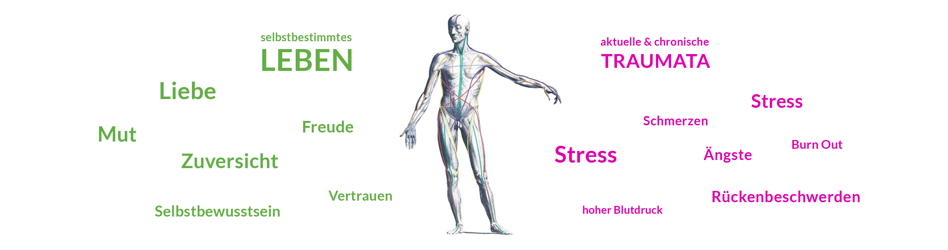 BodyDynamischeTherapie_FaszienMensch